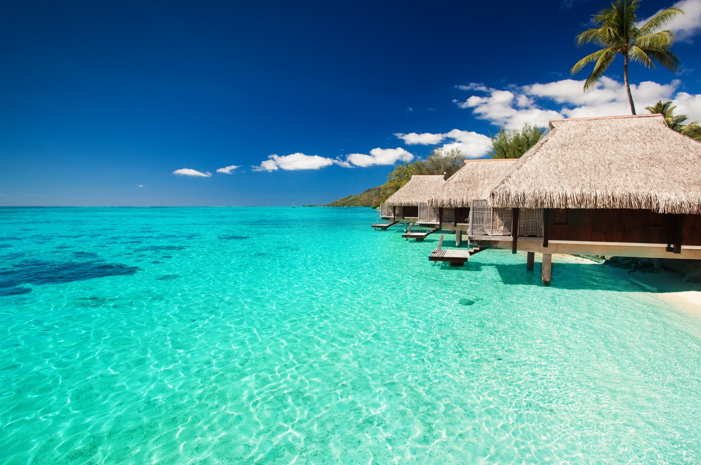 Luxury Caribbean Hotel